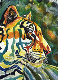 Tiger Grandissimo