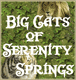 Big Cats of Serenity Springs