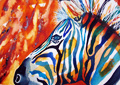 Blue Zebra