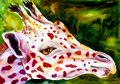 Jaded Giraffe
