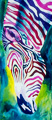 Peppermint Zebra