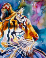 Tiger Flash