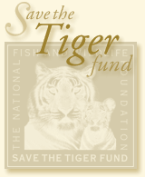 Save the Tiger Fund