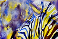 Zurple Zebra